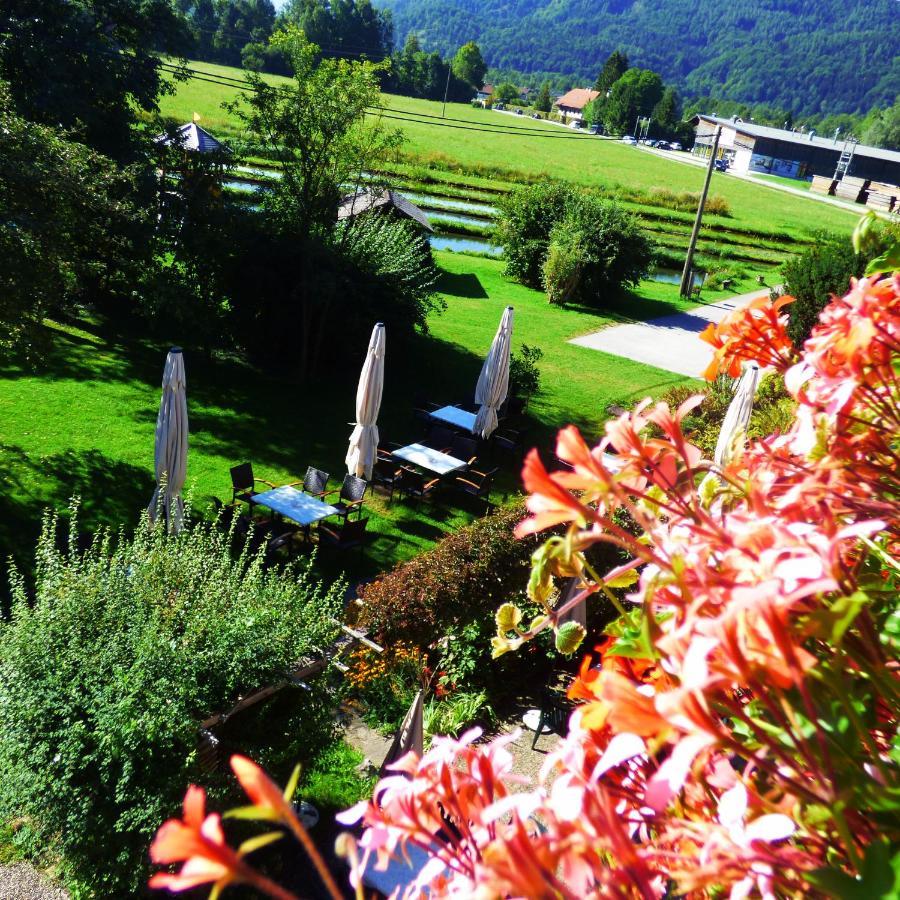 Wieselmuehle Forellenhof Gruenau im Almtal Exterior photo