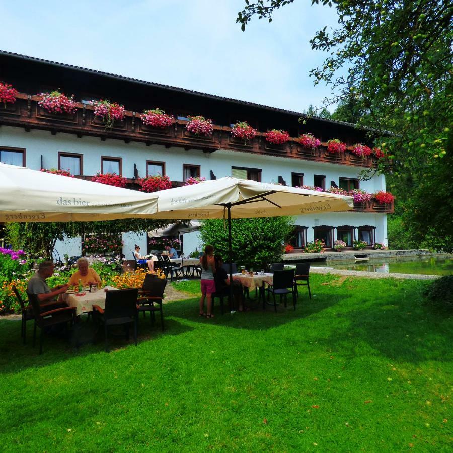 Wieselmuehle Forellenhof Gruenau im Almtal Exterior photo